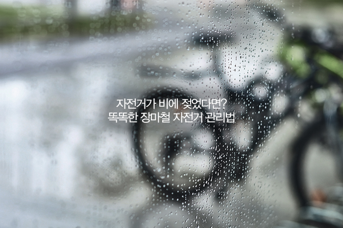 자전거가 비에 젖었다면? 똑똑한 장마철 자전거 관리법|뉴스|뉴스|삼천리자전거  자전거가 비에 젖었다면? 똑똑한 장마철 자전거 관리법