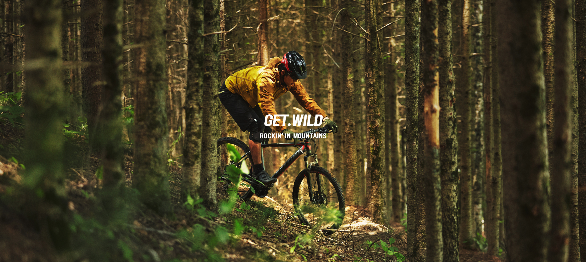 Main | SAMCHULY BICYCLE
